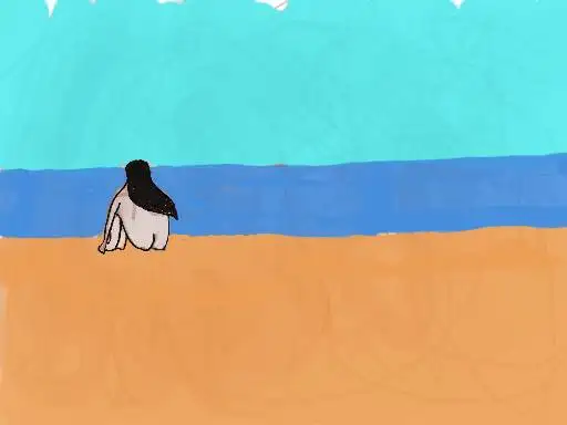 beach nds