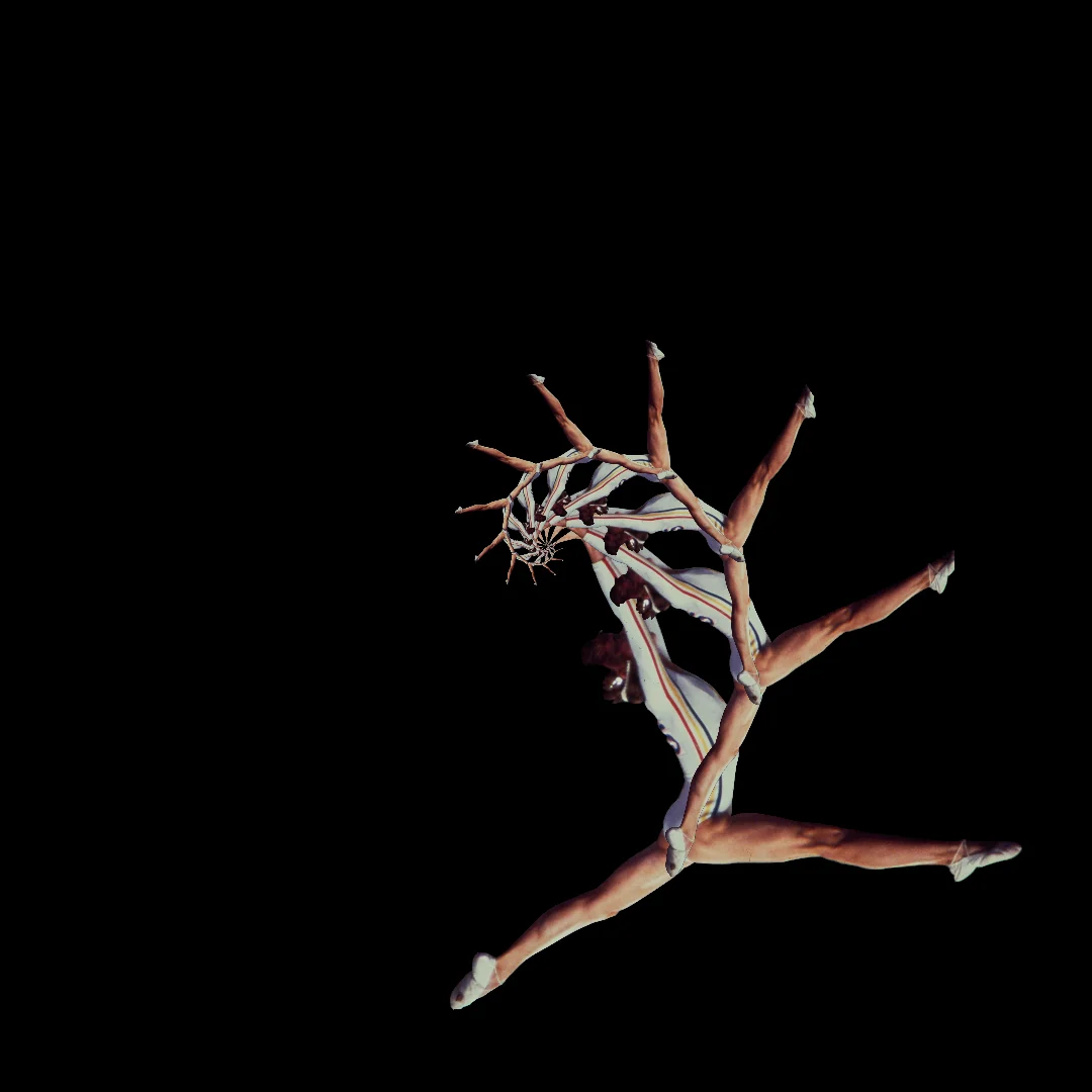 vlad nanca - nadia