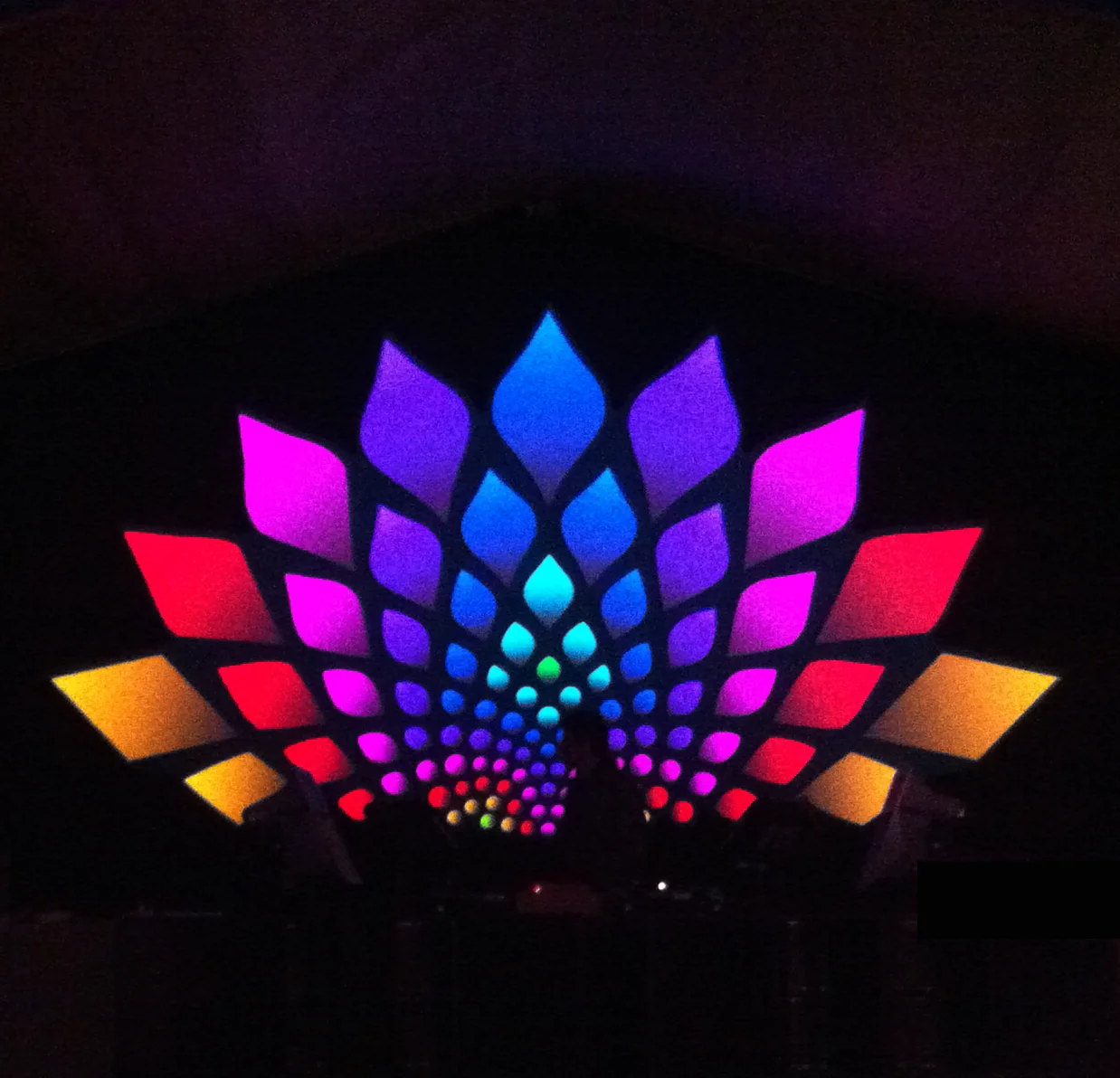sunwaves15 lotus