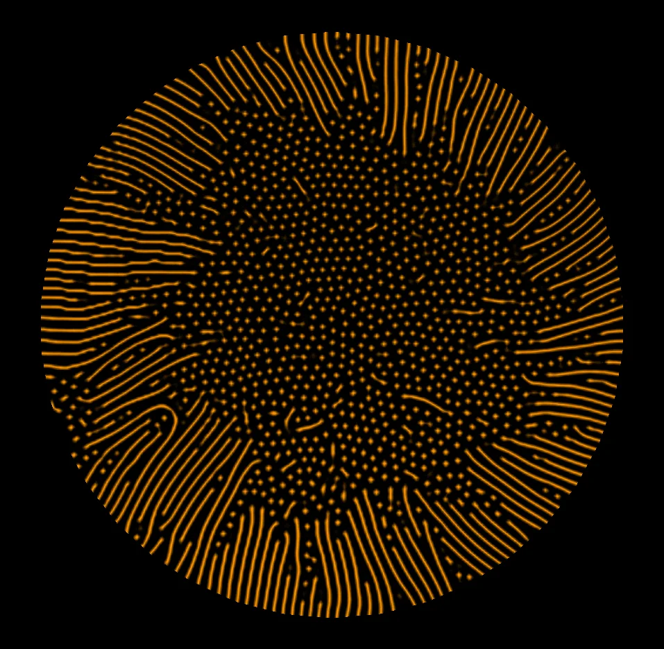 petri