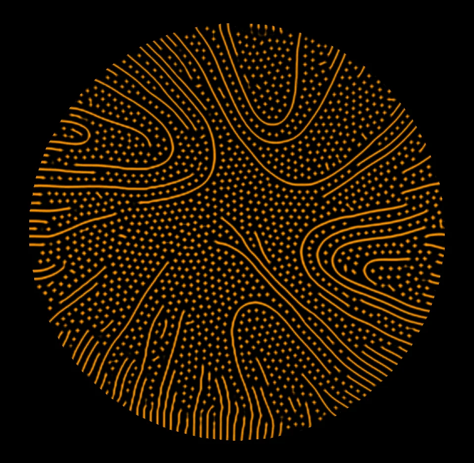 petri