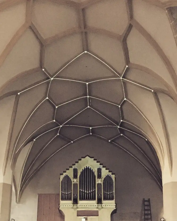 metaorganum sighisoara