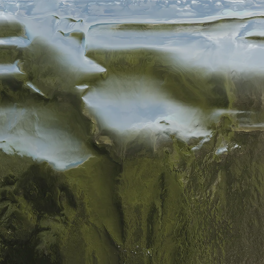 gfx lichen