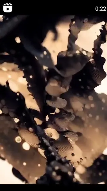 flow (video)