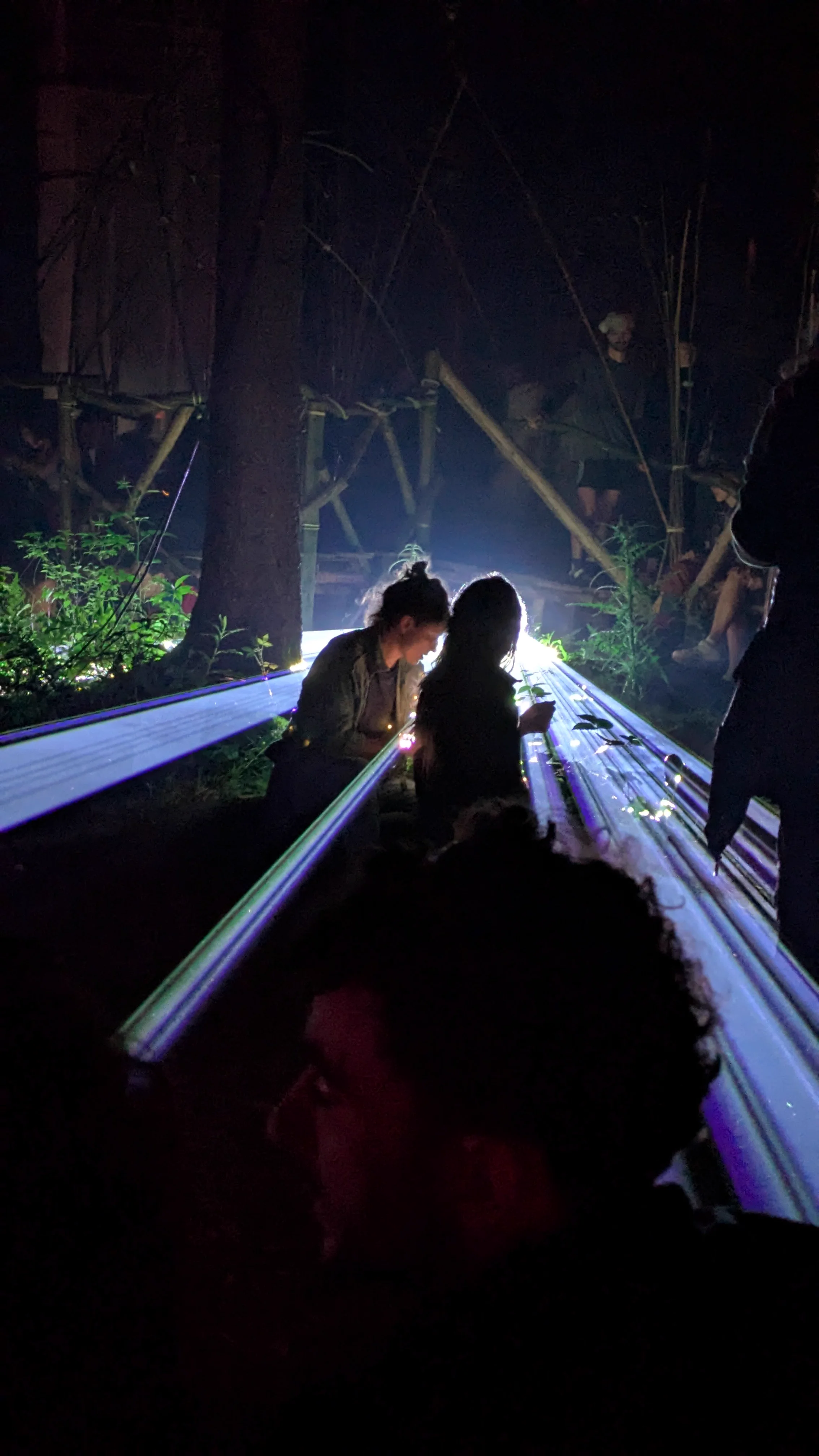 prin at la nature festival, ardennes