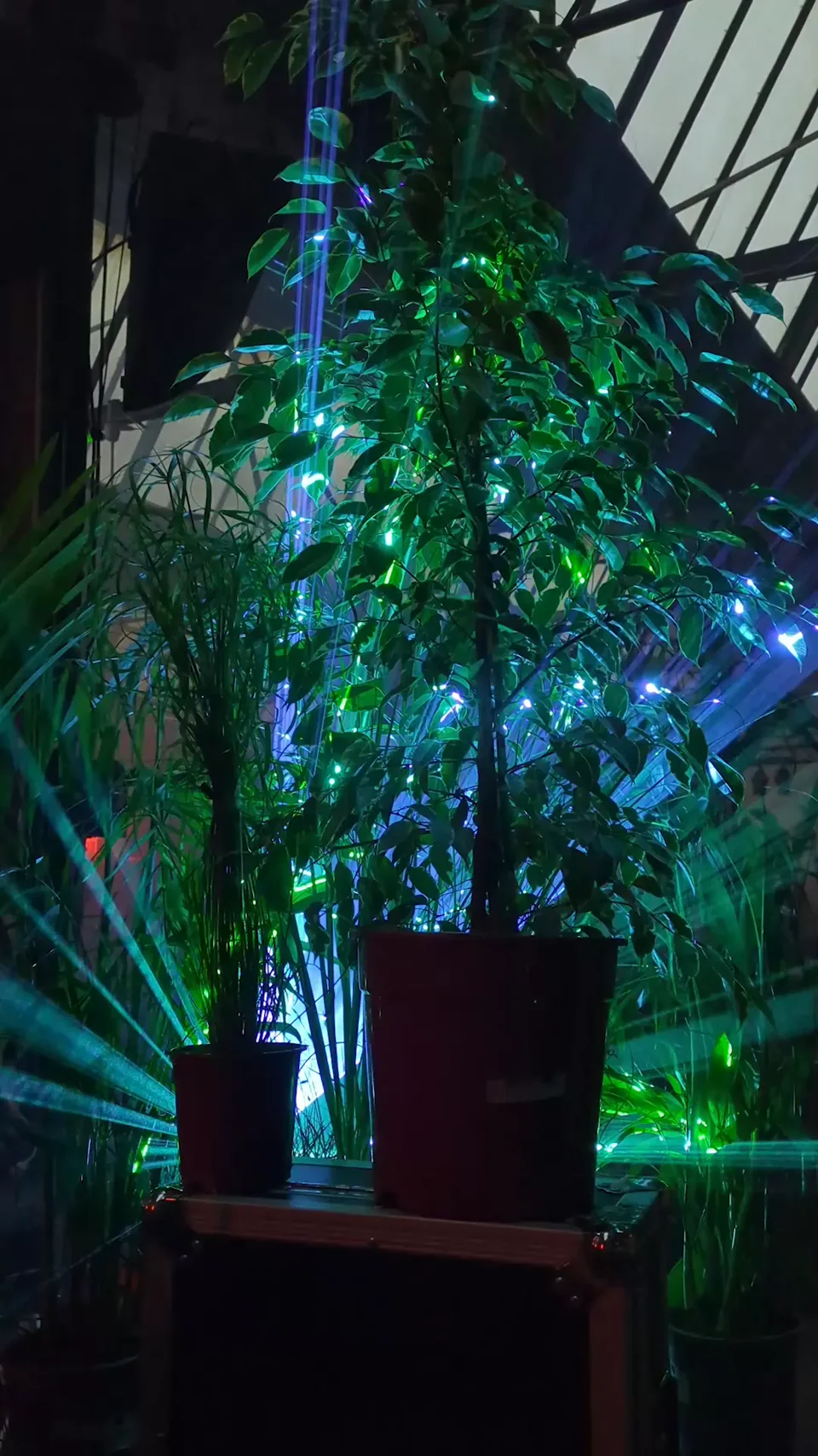 prin at sauna club, hdv, berlin (video)