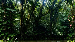 costarica (video)